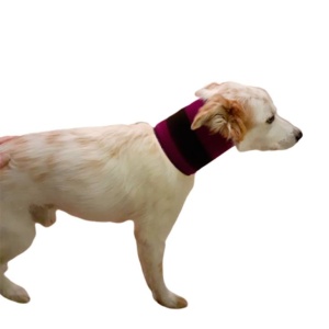 Cuello rígido canino Sport & Vet
